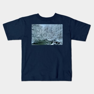 Southern Illinois Winter Scene 2_Dec 2012 Kids T-Shirt